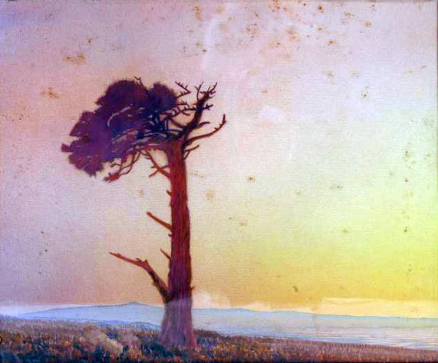 Tree is barren on one side. Sunset colors background except for the bottom where there is a grassy landscape and blue water in the distance.