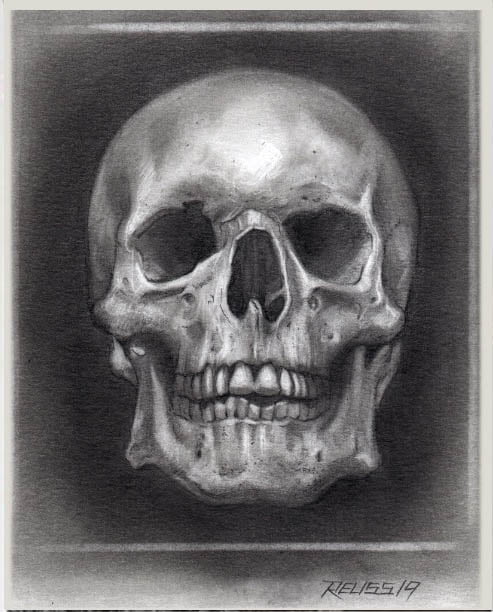 a pencil drawing of a human skull.