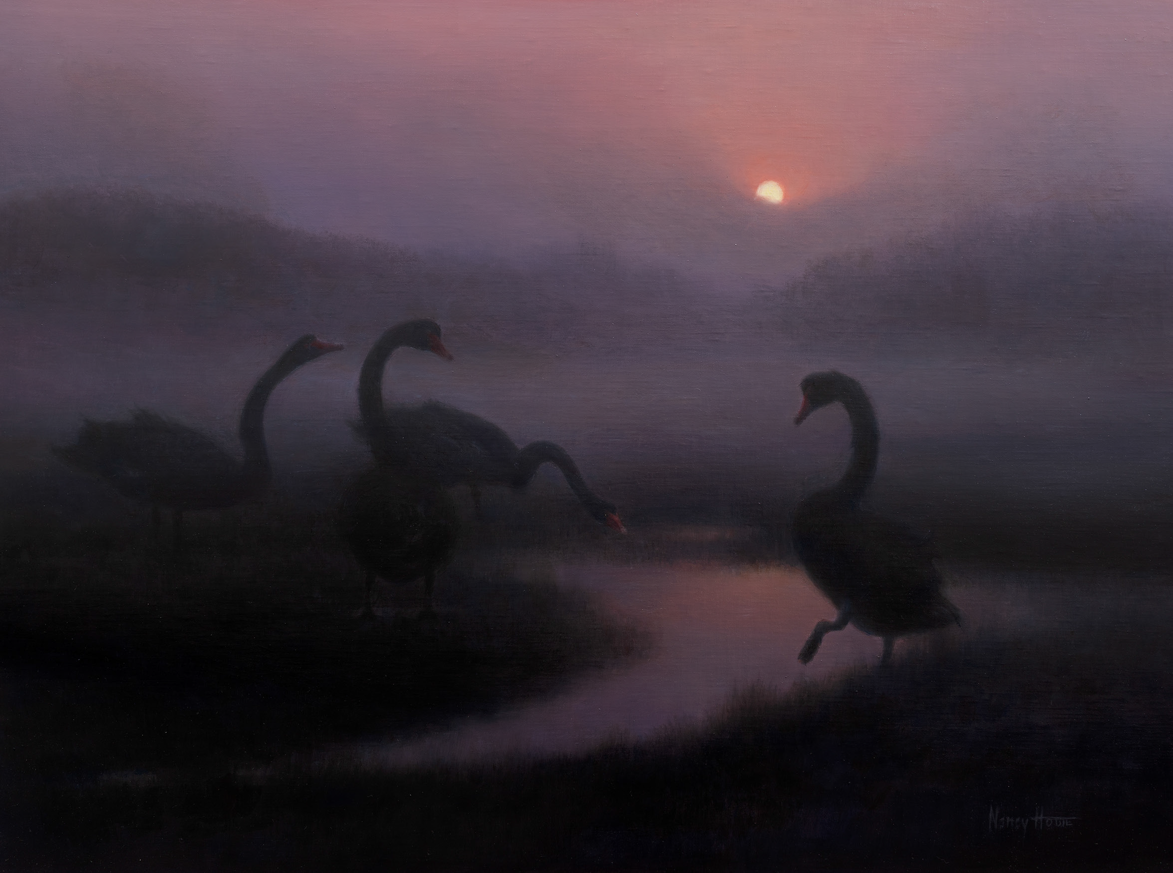 Silhouette of three birds with long necks in a misty marsh. Everything is dark purple due to the sun being so low in the horizon on a cloudy day.