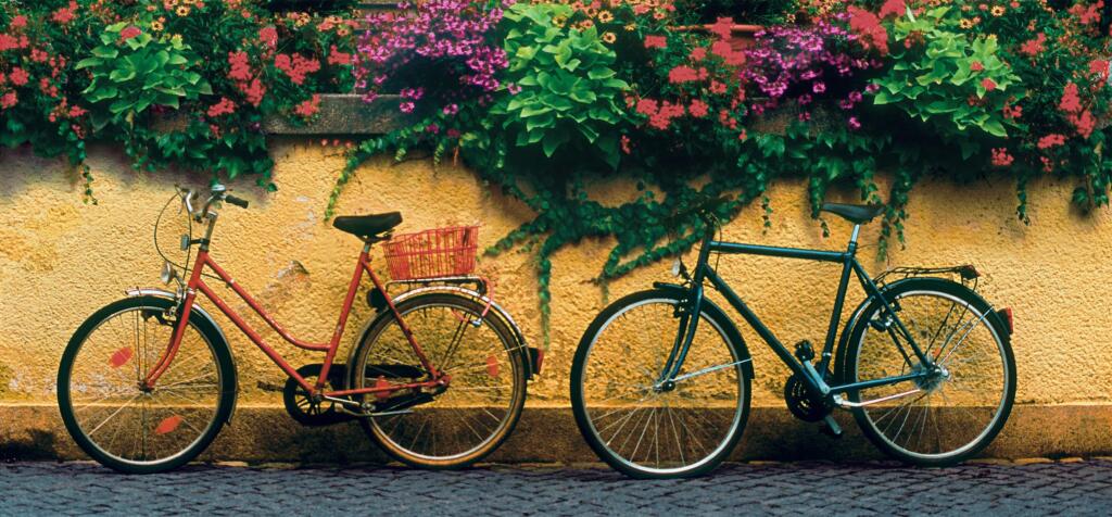 A red bike and black bike are parked next to each other against a low yellow wall, with flowers planted across.