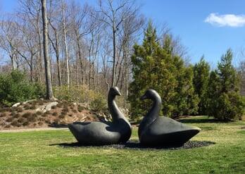 A sculpture of two ducks is in the middle of a grass yard next to a street and in front of a forest.