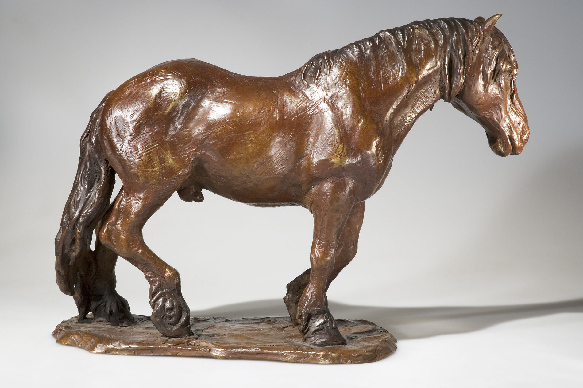 A bronze statue of a horse standing on a white background.