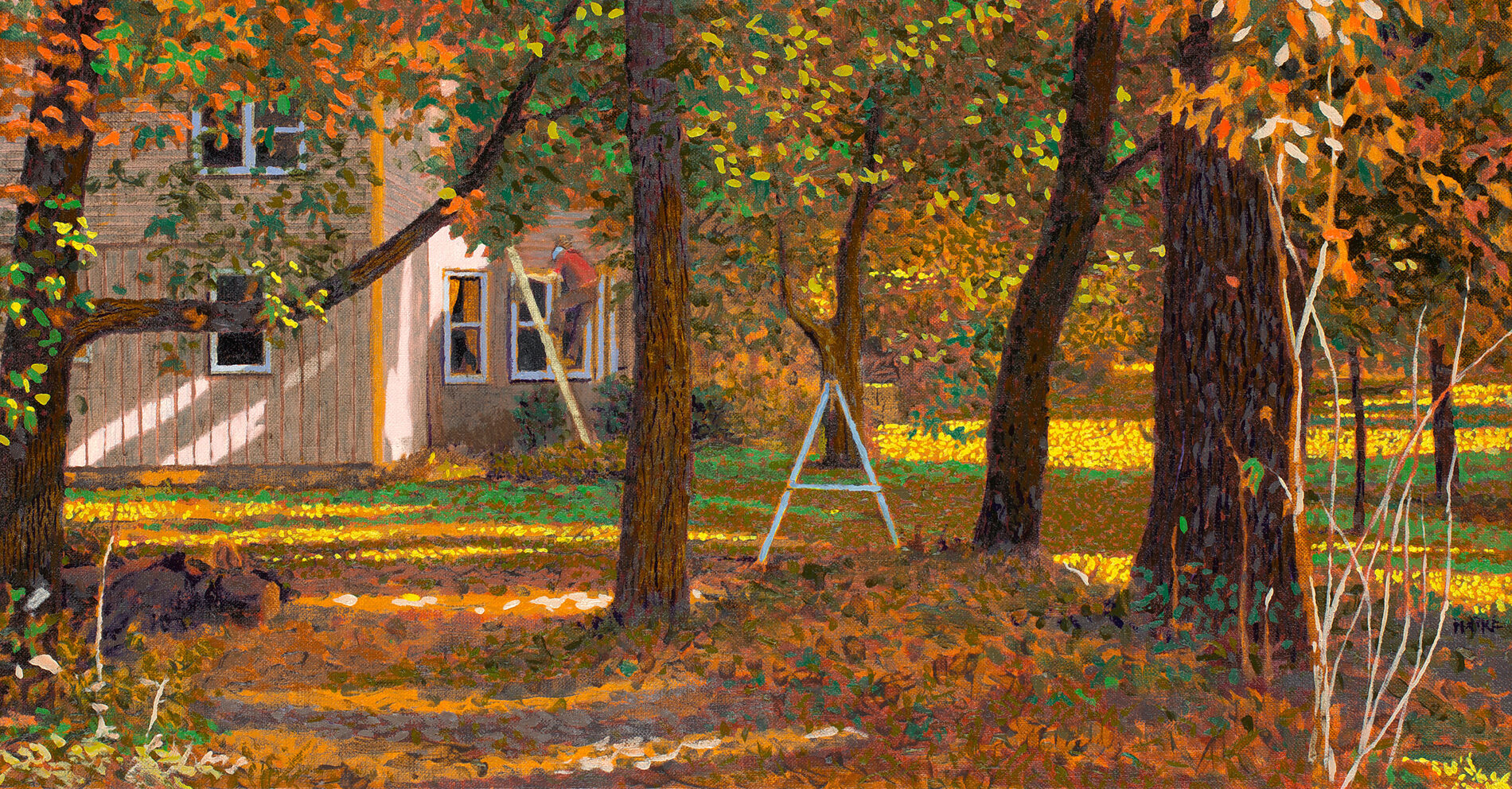 Shadowy autumn yard with trees and some step ladders.