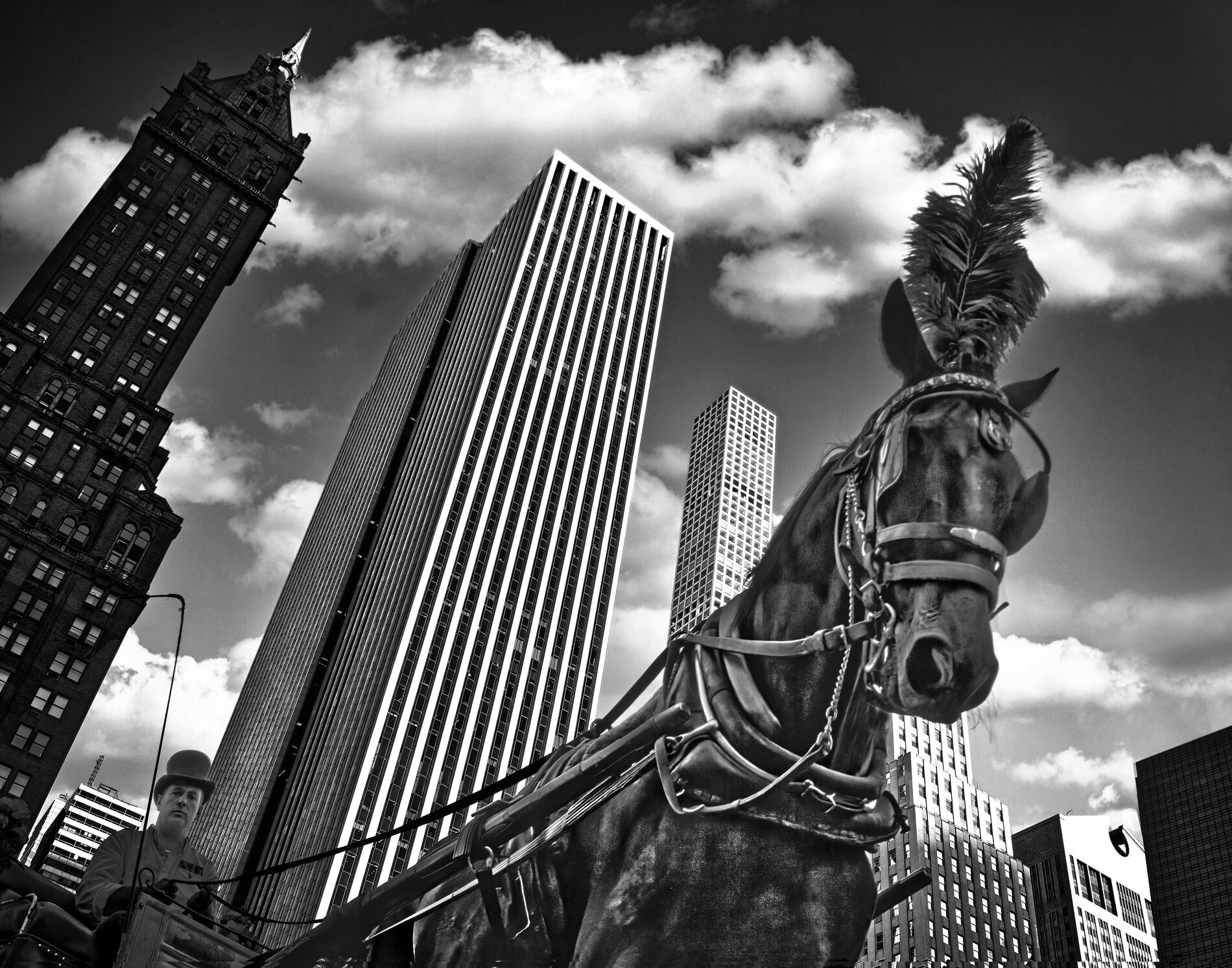 Black and white: looking up on a horse with a feather piece on its head, drawing a carriage driven by a man in a top hat in a city with skyscrapers.