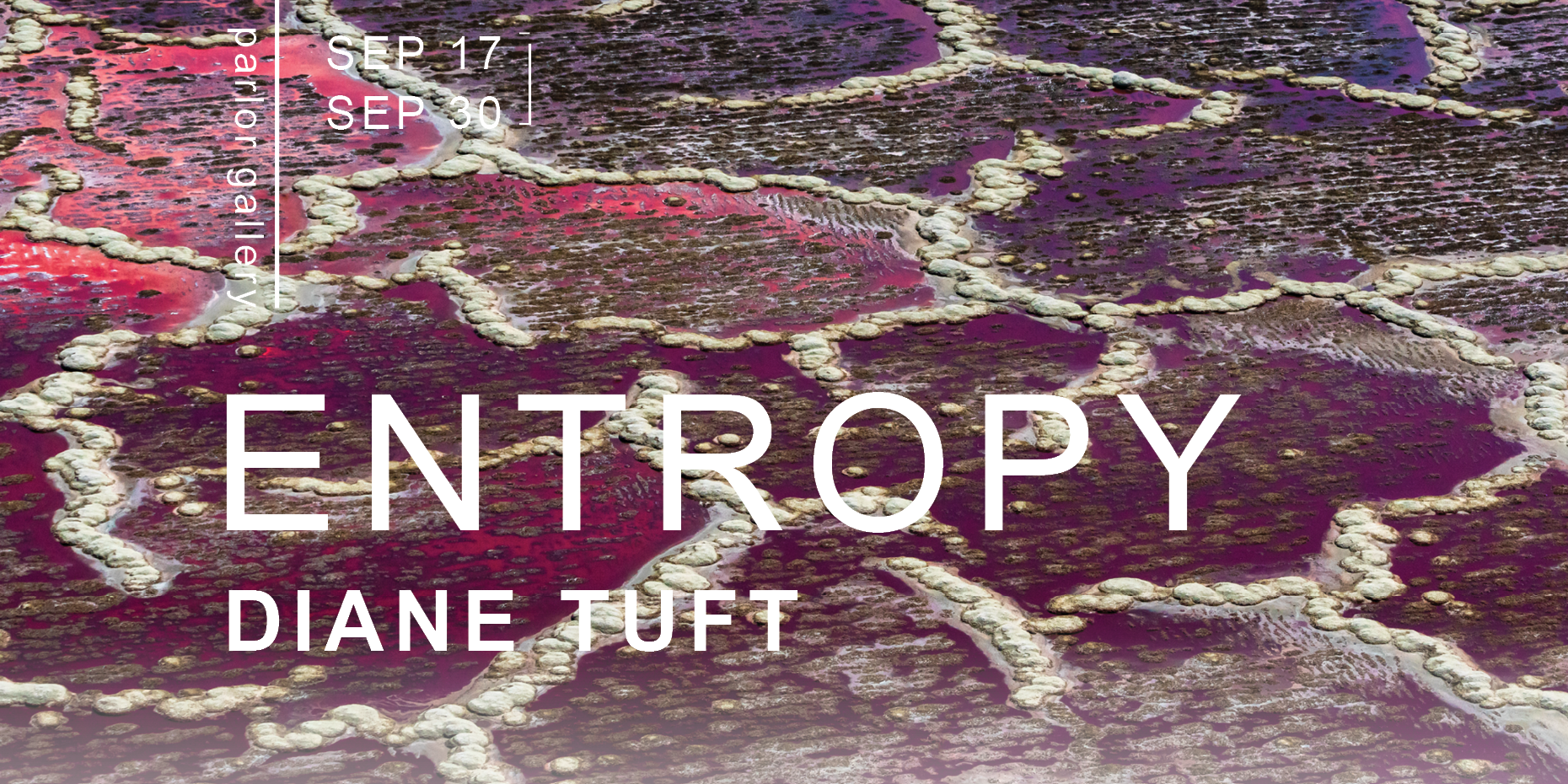 Details for the 2023 Entropy exhibition by Diane Tuft.