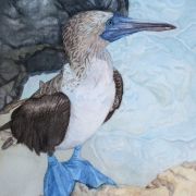 A painting of a blue footed bird on the beach.