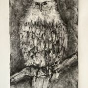 A drawing of an owl sitting on a branch.