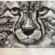 A drawing of a cheetah's face.