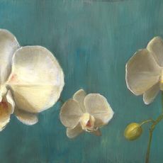 A painting of white orchids on a turquoise background.