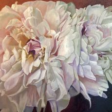 A painting of two white peonies on a brown background.
