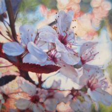 A painting of a blossoming cherry tree.