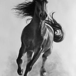 A black and white drawing of a horse running.