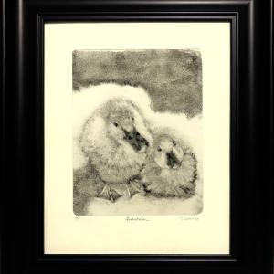 A drawing of two ducklings in a black frame.