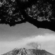 A black and white photo of a mountain with a tree in the background.