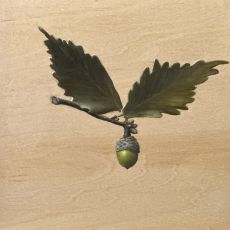 A leaf and acorn on a wooden board.