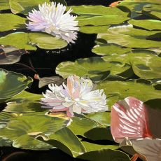 Water lily painting - water lily fine art print.