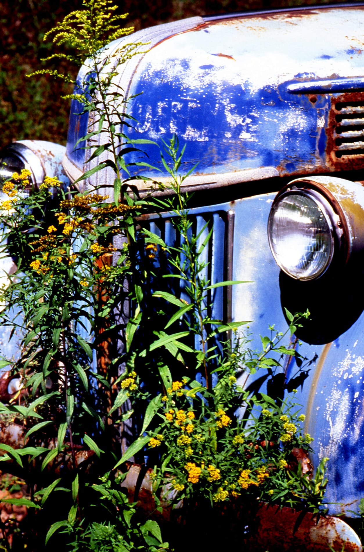 Susan Ledwith [NM] : Vintage truck | Salmagundi Club